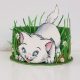 игривый котенок