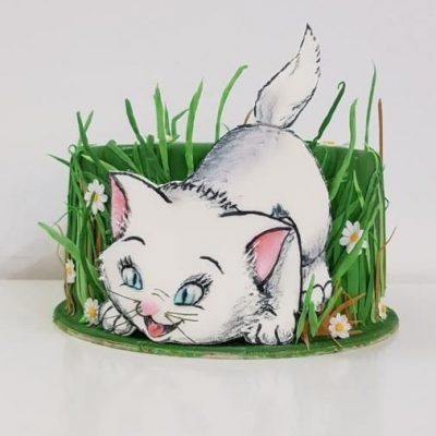 игривый котенок
